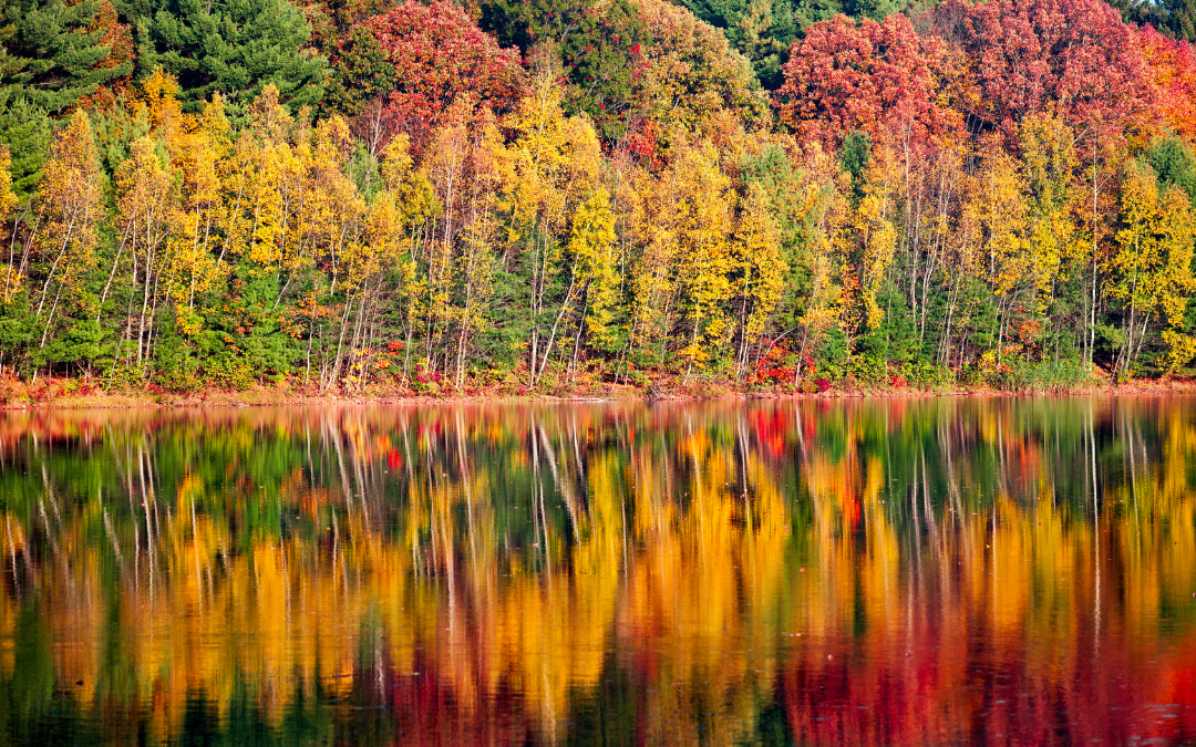 Best Places to visit in autumn