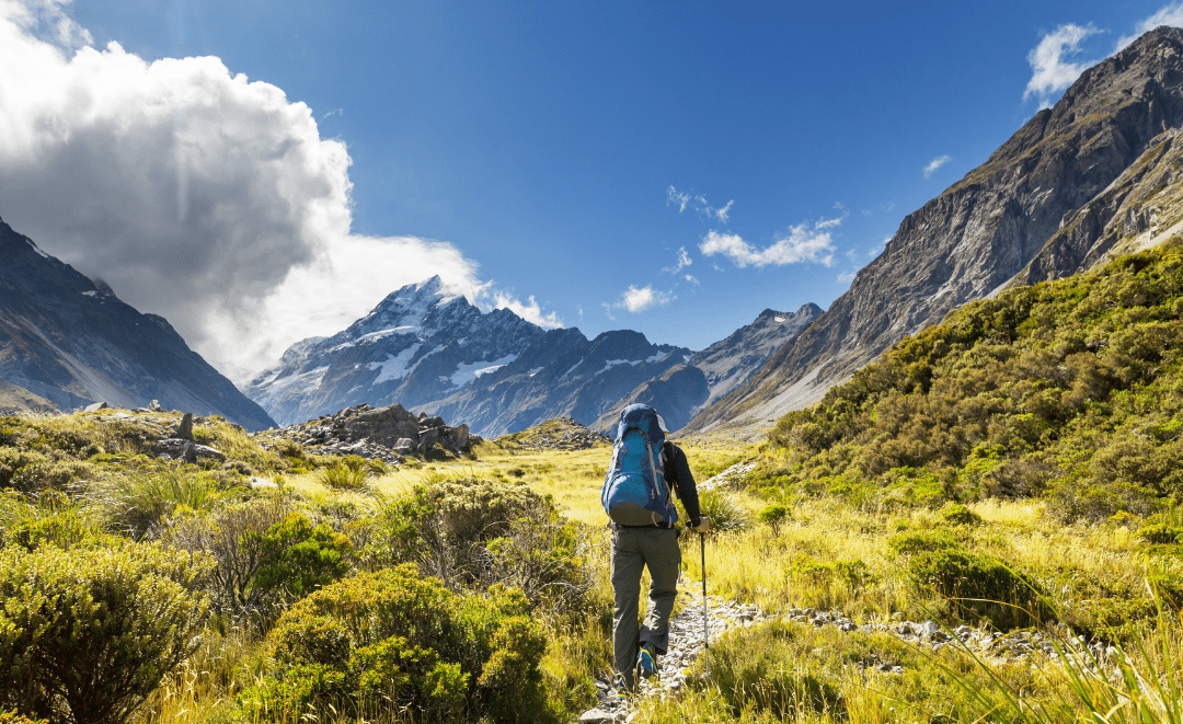 Top Countries Known For Their Habitats