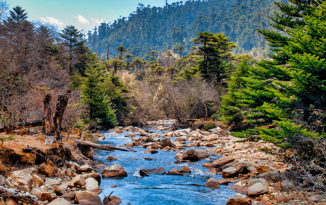 Traveling to Bhutan eSIM Wifi internet rentnconnect