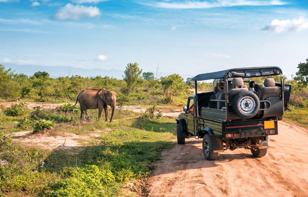 top safari destinations